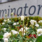 Flemington racecourse